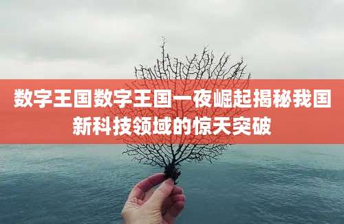 数字王国数字王国一夜崛起揭秘我国新科技领域的惊天突破