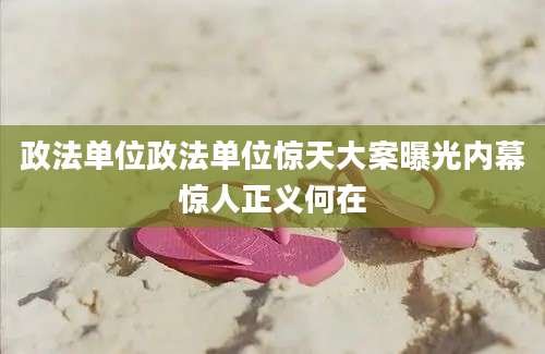 政法单位政法单位惊天大案曝光内幕惊人正义何在