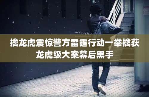 擒龙虎震惊警方雷霆行动一举擒获龙虎级大案幕后黑手