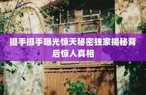 摄手摄手曝光惊天秘密独家揭秘背后惊人真相