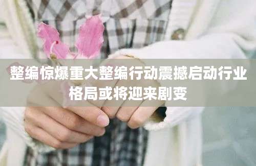整编惊爆重大整编行动震撼启动行业格局或将迎来剧变