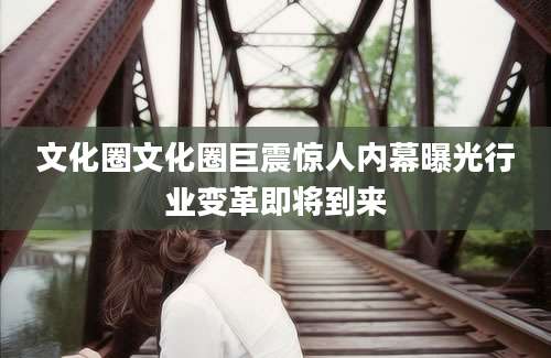文化圈文化圈巨震惊人内幕曝光行业变革即将到来