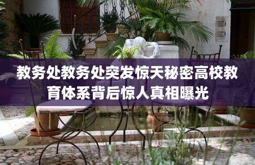 教务处教务处突发惊天秘密高校教育体系背后惊人真相曝光