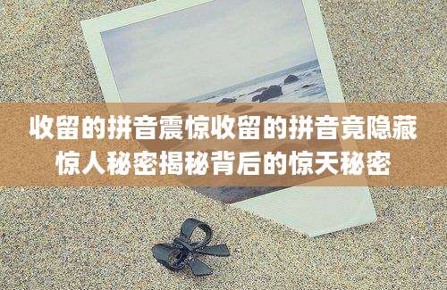 收留的拼音震惊收留的拼音竟隐藏惊人秘密揭秘背后的惊天秘密
