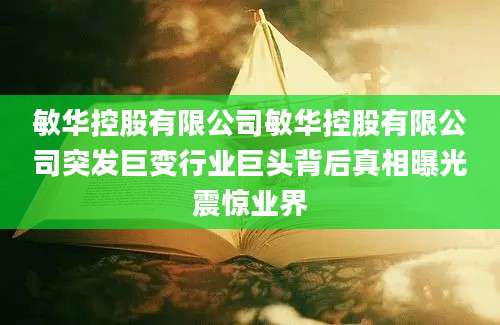 敏华控股有限公司敏华控股有限公司突发巨变行业巨头背后真相曝光震惊业界