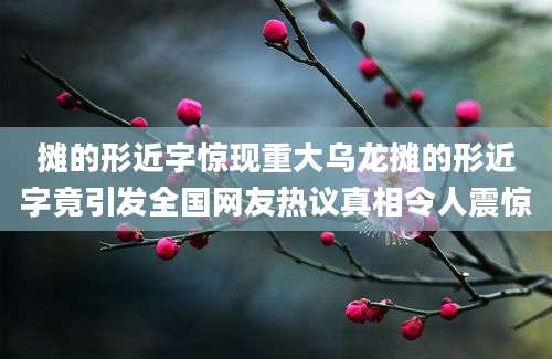 摊的形近字惊现重大乌龙摊的形近字竟引发全国网友热议真相令人震惊