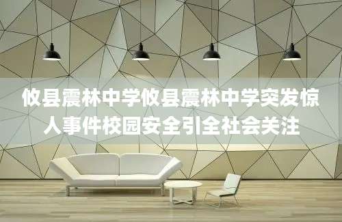 攸县震林中学攸县震林中学突发惊人事件校园安全引全社会关注