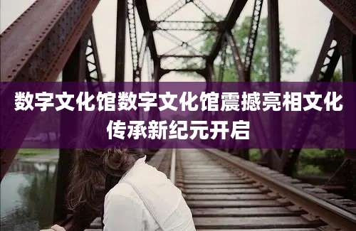 数字文化馆数字文化馆震撼亮相文化传承新纪元开启
