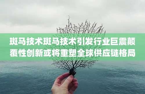 斑马技术斑马技术引发行业巨震颠覆性创新或将重塑全球供应链格局