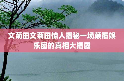 文菊田文菊田惊人揭秘一场颠覆娱乐圈的真相大揭露