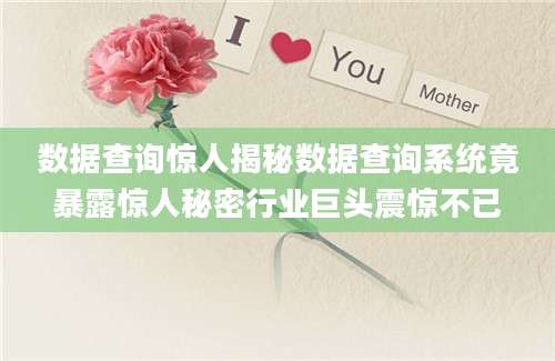数据查询惊人揭秘数据查询系统竟暴露惊人秘密行业巨头震惊不已