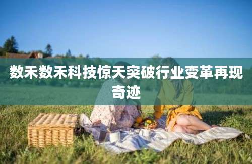 数禾数禾科技惊天突破行业变革再现奇迹