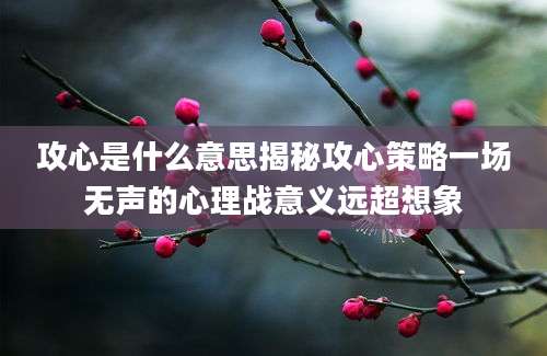 攻心是什么意思揭秘攻心策略一场无声的心理战意义远超想象