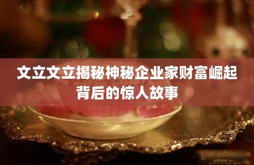 文立文立揭秘神秘企业家财富崛起背后的惊人故事