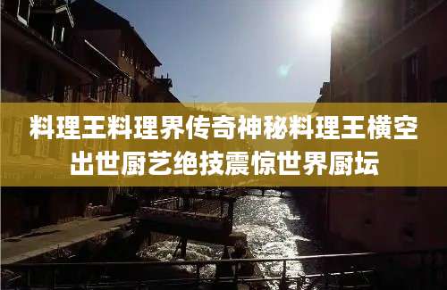 料理王料理界传奇神秘料理王横空出世厨艺绝技震惊世界厨坛