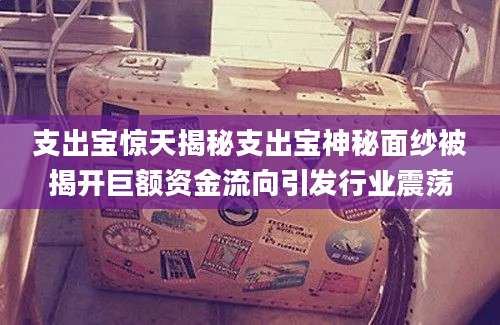 支出宝惊天揭秘支出宝神秘面纱被揭开巨额资金流向引发行业震荡