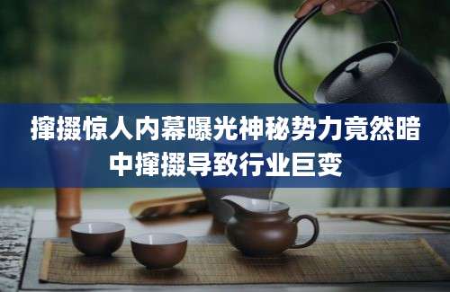 撺掇惊人内幕曝光神秘势力竟然暗中撺掇导致行业巨变