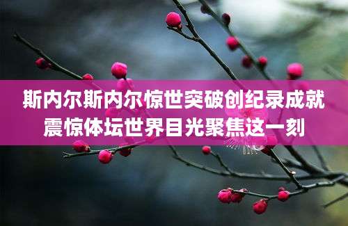 斯内尔斯内尔惊世突破创纪录成就震惊体坛世界目光聚焦这一刻