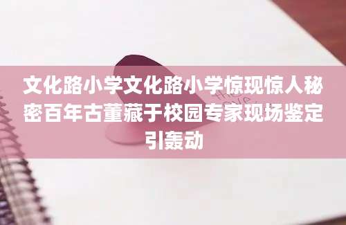 文化路小学文化路小学惊现惊人秘密百年古董藏于校园专家现场鉴定引轰动
