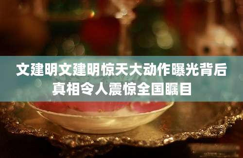 文建明文建明惊天大动作曝光背后真相令人震惊全国瞩目