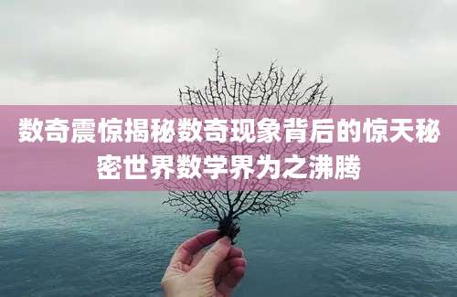 数奇震惊揭秘数奇现象背后的惊天秘密世界数学界为之沸腾