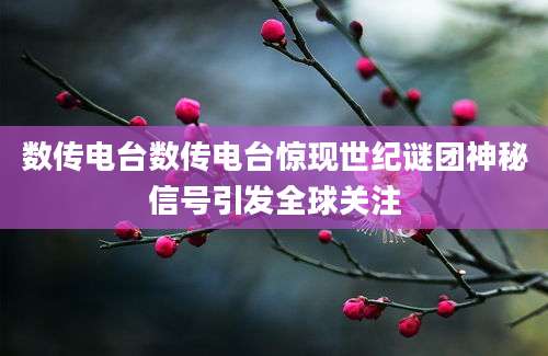 数传电台数传电台惊现世纪谜团神秘信号引发全球关注