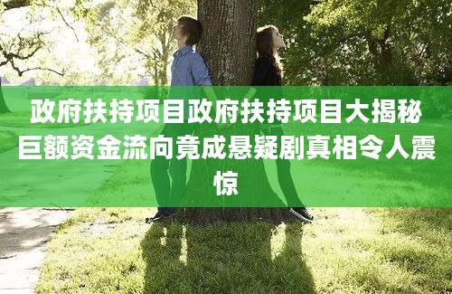 政府扶持项目政府扶持项目大揭秘巨额资金流向竟成悬疑剧真相令人震惊