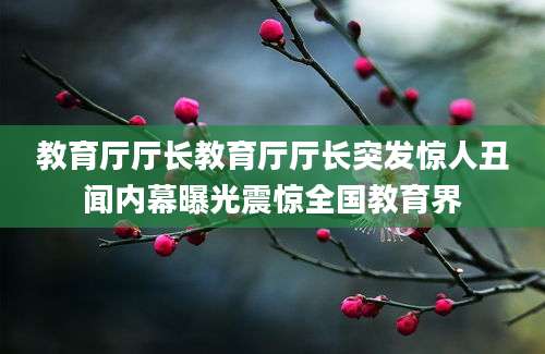 教育厅厅长教育厅厅长突发惊人丑闻内幕曝光震惊全国教育界