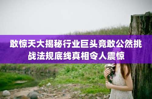 敢惊天大揭秘行业巨头竟敢公然挑战法规底线真相令人震惊