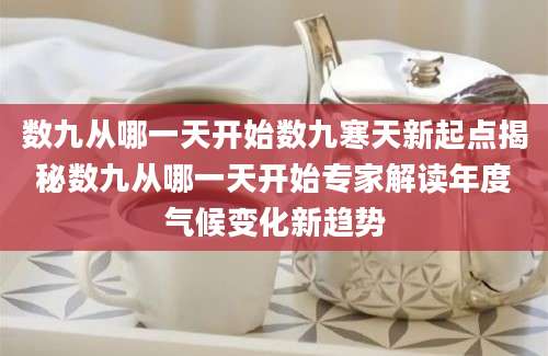 数九从哪一天开始数九寒天新起点揭秘数九从哪一天开始专家解读年度气候变化新趋势
