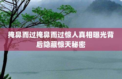掩鼻而过掩鼻而过惊人真相曝光背后隐藏惊天秘密