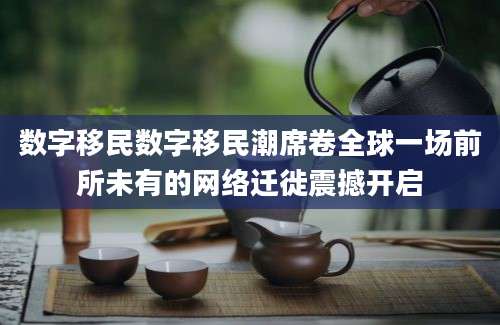 数字移民数字移民潮席卷全球一场前所未有的网络迁徙震撼开启