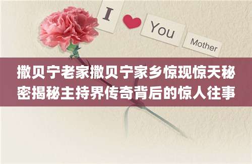 撒贝宁老家撒贝宁家乡惊现惊天秘密揭秘主持界传奇背后的惊人往事