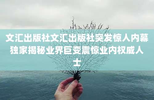 文汇出版社文汇出版社突发惊人内幕独家揭秘业界巨变震惊业内权威人士