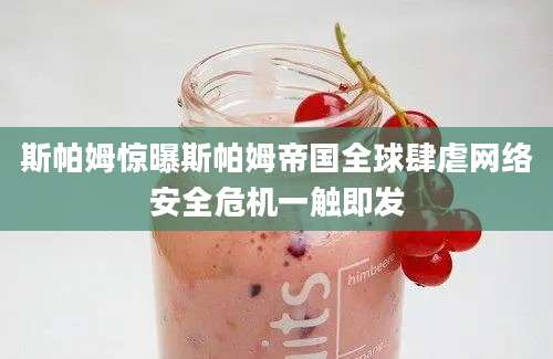 斯帕姆惊曝斯帕姆帝国全球肆虐网络安全危机一触即发