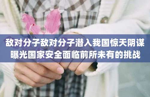 敌对分子敌对分子潜入我国惊天阴谋曝光国家安全面临前所未有的挑战