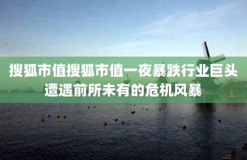 搜狐市值搜狐市值一夜暴跌行业巨头遭遇前所未有的危机风暴