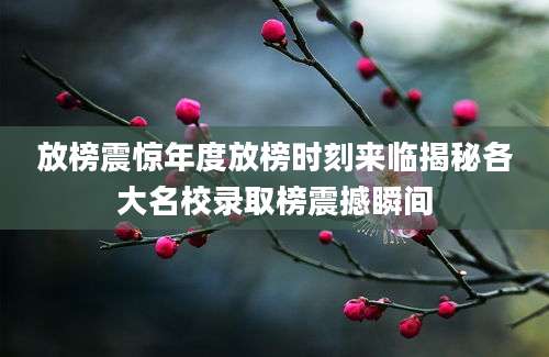 放榜震惊年度放榜时刻来临揭秘各大名校录取榜震撼瞬间