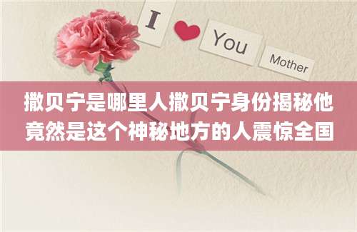 撒贝宁是哪里人撒贝宁身份揭秘他竟然是这个神秘地方的人震惊全国