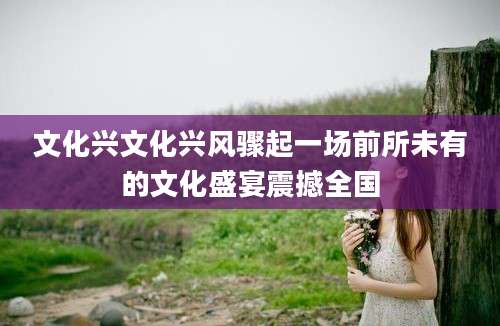 文化兴文化兴风骤起一场前所未有的文化盛宴震撼全国