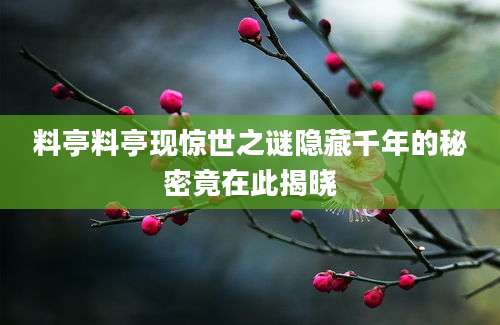 料亭料亭现惊世之谜隐藏千年的秘密竟在此揭晓