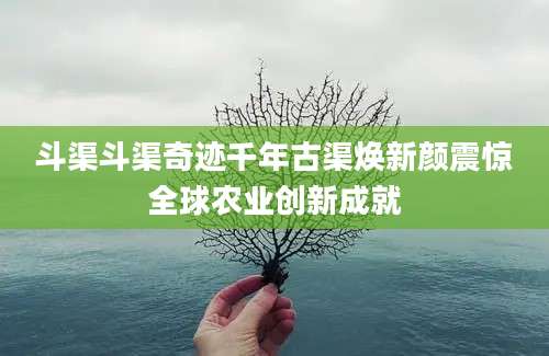 斗渠斗渠奇迹千年古渠焕新颜震惊全球农业创新成就