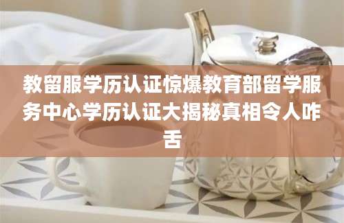 教留服学历认证惊爆教育部留学服务中心学历认证大揭秘真相令人咋舌