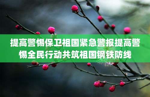 提高警惕保卫祖国紧急警报提高警惕全民行动共筑祖国钢铁防线