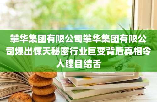 攀华集团有限公司攀华集团有限公司爆出惊天秘密行业巨变背后真相令人瞠目结舌