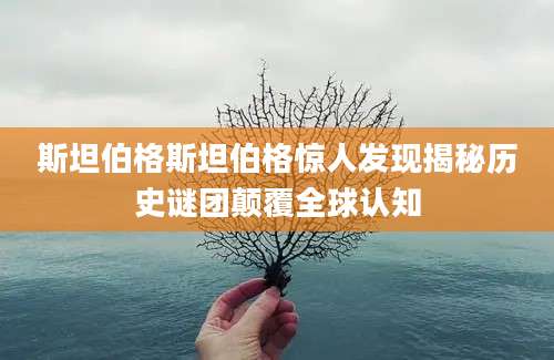 斯坦伯格斯坦伯格惊人发现揭秘历史谜团颠覆全球认知