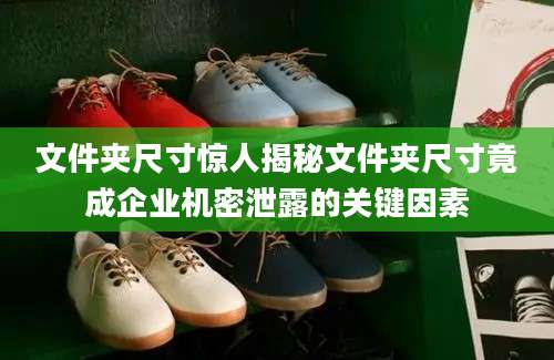 文件夹尺寸惊人揭秘文件夹尺寸竟成企业机密泄露的关键因素