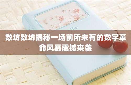 数坊数坊揭秘一场前所未有的数字革命风暴震撼来袭
