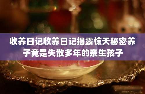 收养日记收养日记揭露惊天秘密养子竟是失散多年的亲生孩子