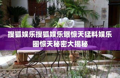 搜狐娱乐搜狐娱乐曝惊天猛料娱乐圈惊天秘密大揭秘